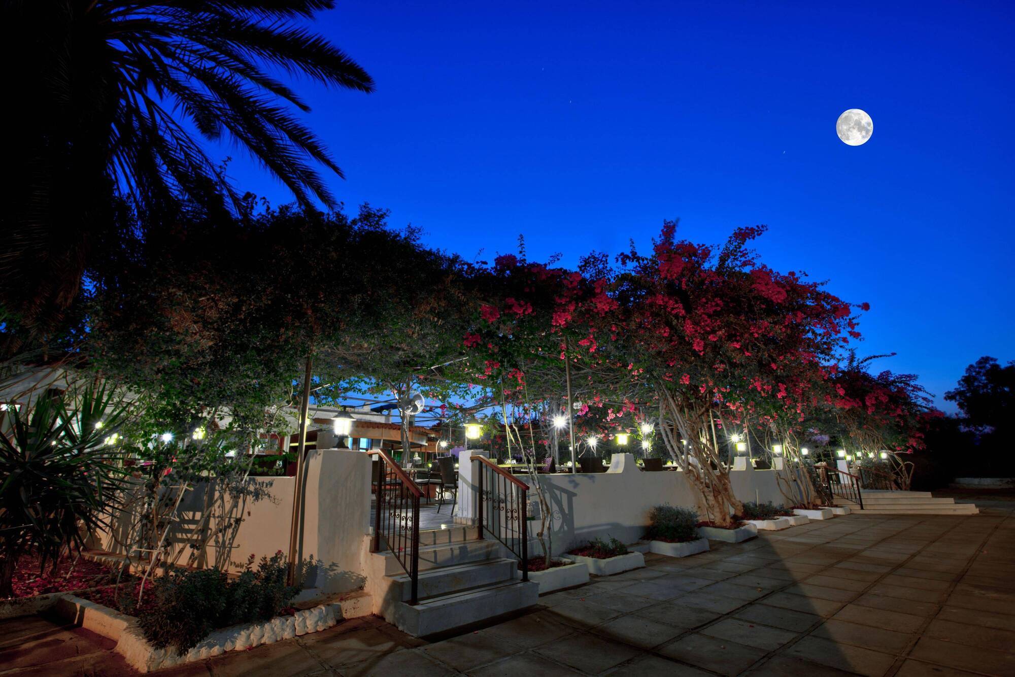 Merit Cyprus Gardens Holiday Фамагуста Экстерьер фото